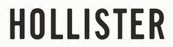 Hollister Co. logo