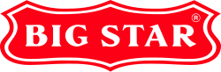 Big Star logo
