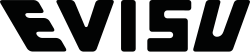 Evisu logo